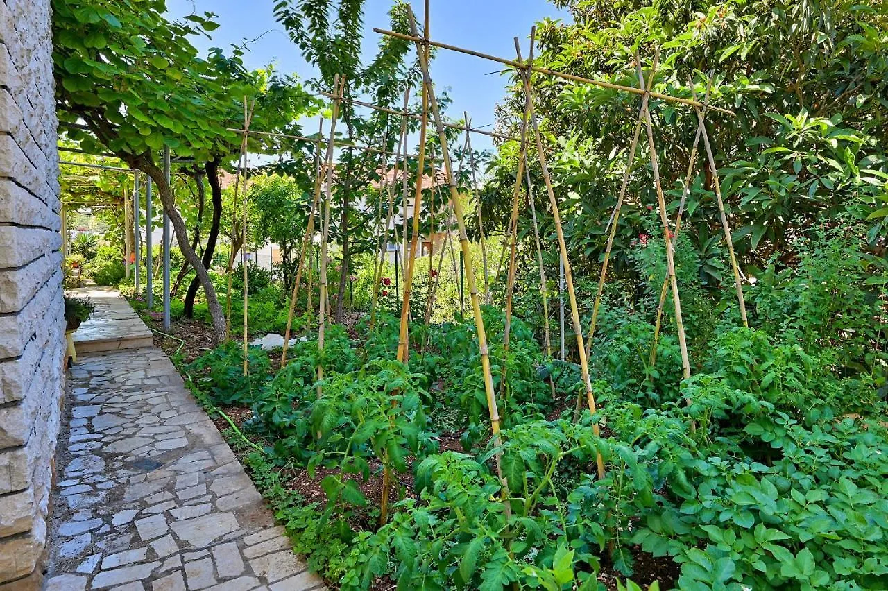 Apartments Marija פולה